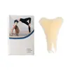 Parche de Silicona Caliente de Venta Transfronteriza en Forma de Y para Partes Privadas, Ropa Interior para Nadar, Bikini Adhesivo Auto-Adhesivo Parche de Silicona para Protección de Partes Privadas Anti-Exposición