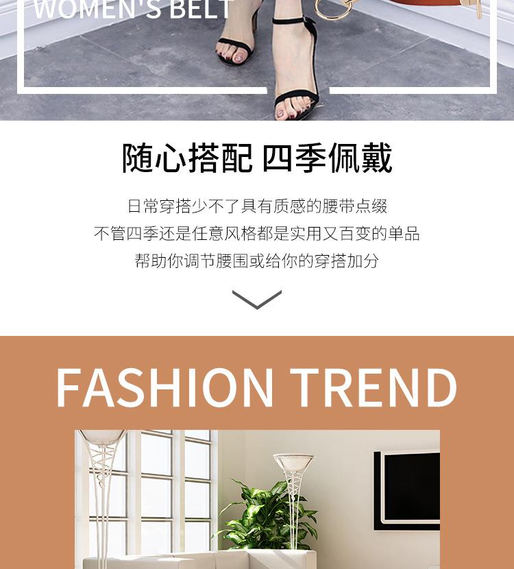 皮带_02.jpg
