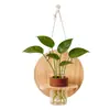 Conjunto de Plantas Verdes Hidropônicas de Parede com Suporte de Parede de Madeira Natural para Sala de Estar, Quarto, Mesa, Decoração Fresca, Plantas Fáceis de Cuidar