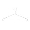 Fabricante Exclusivo Transfronterizo de Perchas de Hierro Galvanizado, Perchas de Ensamblaje de Terciopelo Perlado, Almacenamiento y Organización, Perchas de Hierro sin Marcas