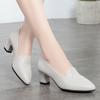 Zapatos de tacón medio de una sola capa para mujer 2021 Primavera y Otoño Zapatos de cuero suave para mujer Zapatos para madre Zapatos de cuero Zapatos profesionales para mujer de mediana edad Zapatos de tacón grueso
