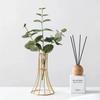 Jarrón de Flores de Vidrio Creativo Nórdico Decoraciones para Sala de Estar, Mueble de TV, Escritorio, Hierro, Flores Secas, Adornos Hidropónicos