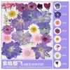 Obra de Arte Colagem de Flores Prensadas e Folhas Secas Mistas, Flores Reais Prensadas, Espécimes de Plantas, Kit de Material DIY com Flores Secas em Resina