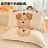 Funda de Almohada de Terciopelo de Leche Engrosada 48X74cm Paquete Doble Invierno para Niños y Adultos Funda Interior para Almohada Individual del Hogar