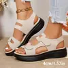 Artículos en stock Nuevo estilo de primavera Comercio exterior Zapatos de mujer Suela plana Doble velcro Boca de pez Sandalias para mujer Transfronterizo Más vendidos Talla grande Zapatos Venta al por mayor