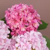 Flor Artificial Impresa en 3D de Hortensia Individual Estilo Europeo para Decoración de Sala de Estar, Arreglo de Pasillo de Boda, Flor de Mesa, Venta Caliente Transfronteriza