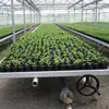 Cama de flores Phalaenopsis plántula suculenta vivero de marea material ABS circulación de agua y fertilizante cultivo sin suelo vivero móvil