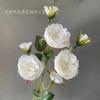 7 cabeças Austin casamento flor de seda arranjo de flores salão de casamento buquê macio sala de estar casa display rosa flor artificial