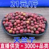 Bambú Nantian, Tianzhuzi, Bambú Nan, Venta al por mayor y entrega de Tianzhu