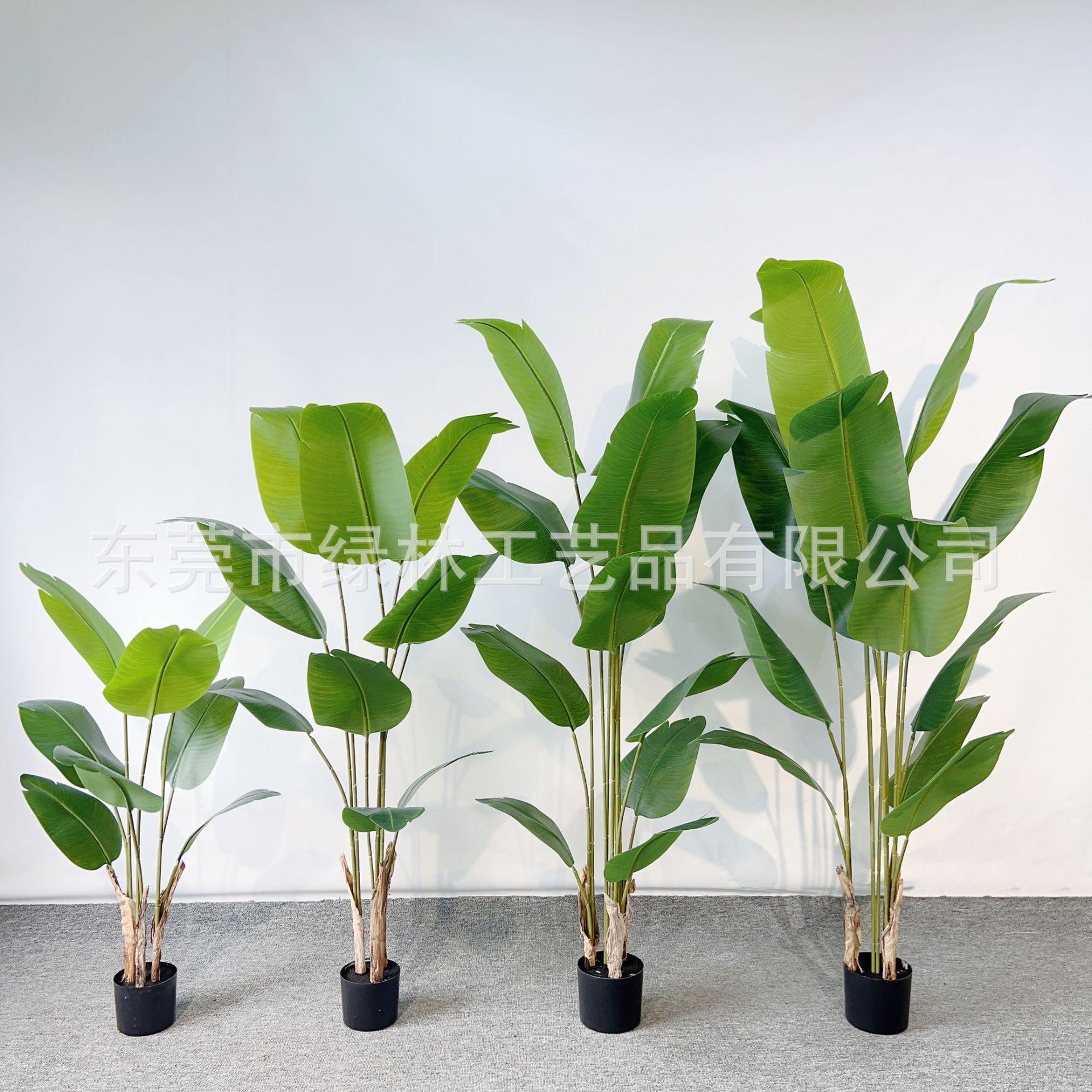 微信图片_20231104092342