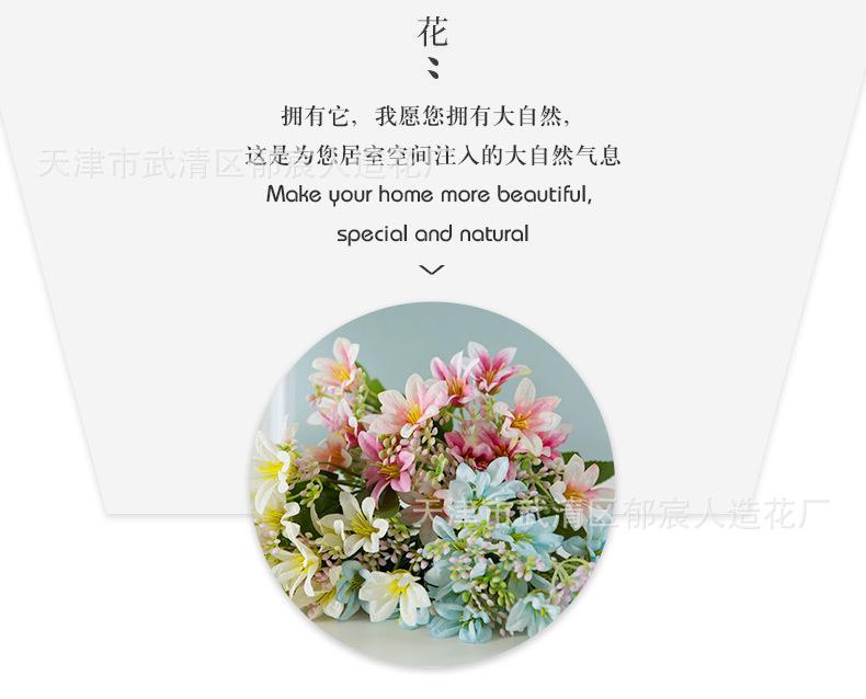 详情 (2).jpg