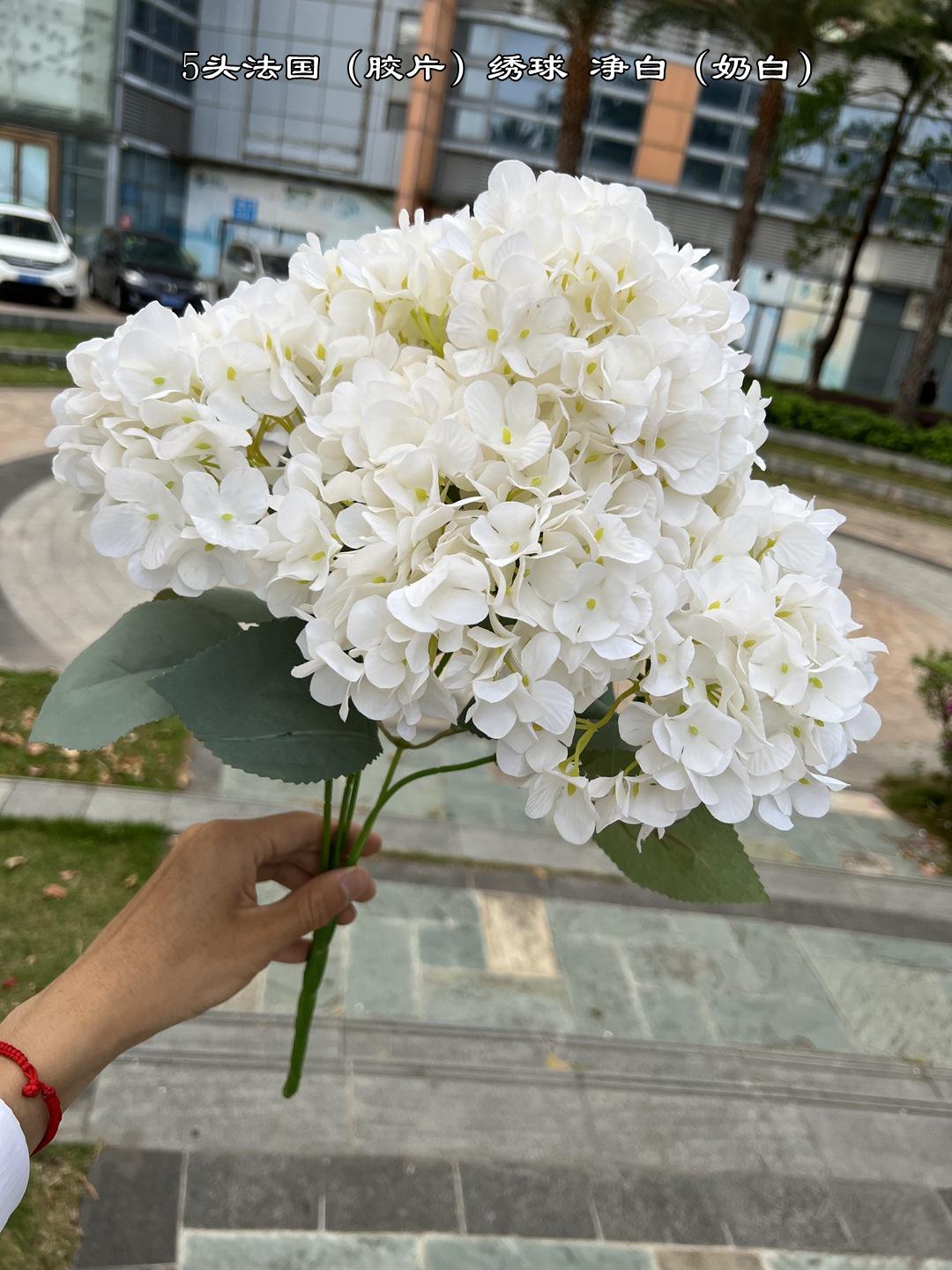 微信图片_20220319174613.jpg
