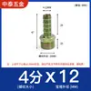 China-Tailandia Acero al Carbono Baota Rosca Exterior Tubo Recto Conector Color Zincado Británico Hidráulico 1/2/3/4/61