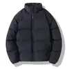 Sencillo abrigo de algodón de invierno para hombre, estilo Hong Kong, corte holgado, estilo coreano, moderno, adecuado para jóvenes, transfronterizo, con cuello alto y acolchado grueso