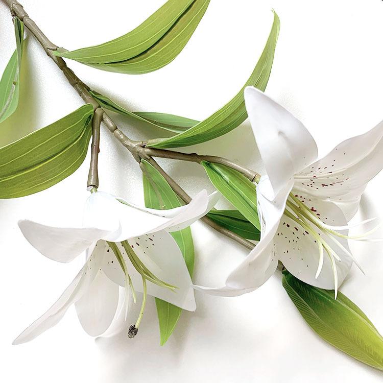 QQ图片20220819141239