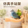 Perchero para pájaros con forma de mano simulada, mano artificial desmontable para periquitos, cotorras y periquitos sol, accesorios para pájaros