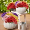 Amazon Flores Artificiales Flores Artificiales Violeta de Cinco Pétalos Flores Artificiales de Plástico Decoración Exterior Hogar Boda Fotografía Flores