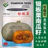 Semillas de Calabaza Castaña Plateada Tsuen Yin, Semillas de Calabaza Plateada Fruta Grande Sabor Castaña, Fideos Dulces de Verdura de Granja