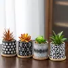 Dongheng Maceta de Animales Estilo Japonés y Coreano Maceta Mini Pulgar Adornos Set de Búho Cambio de Horno Maceta para Suculentas con Base