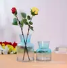 Vaso de Vidrio de Sodio-Calcio Transfronterizo al por Mayor Florero de Vidrio Simple Estilo Europeo Plantas Hidropónicas Flores Secas Florero de Flores Frescas Decoración