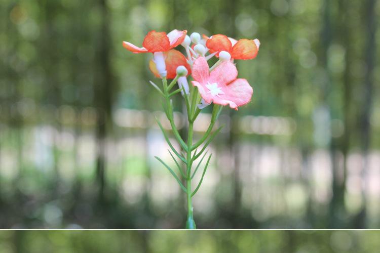 125-花草_03.jpg