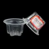 Suministro de origen 40g vaso de gelatina desechable de cinco puntas empaque de plástico transparente pp vaso para salsa vaso de gelatina de calidad
