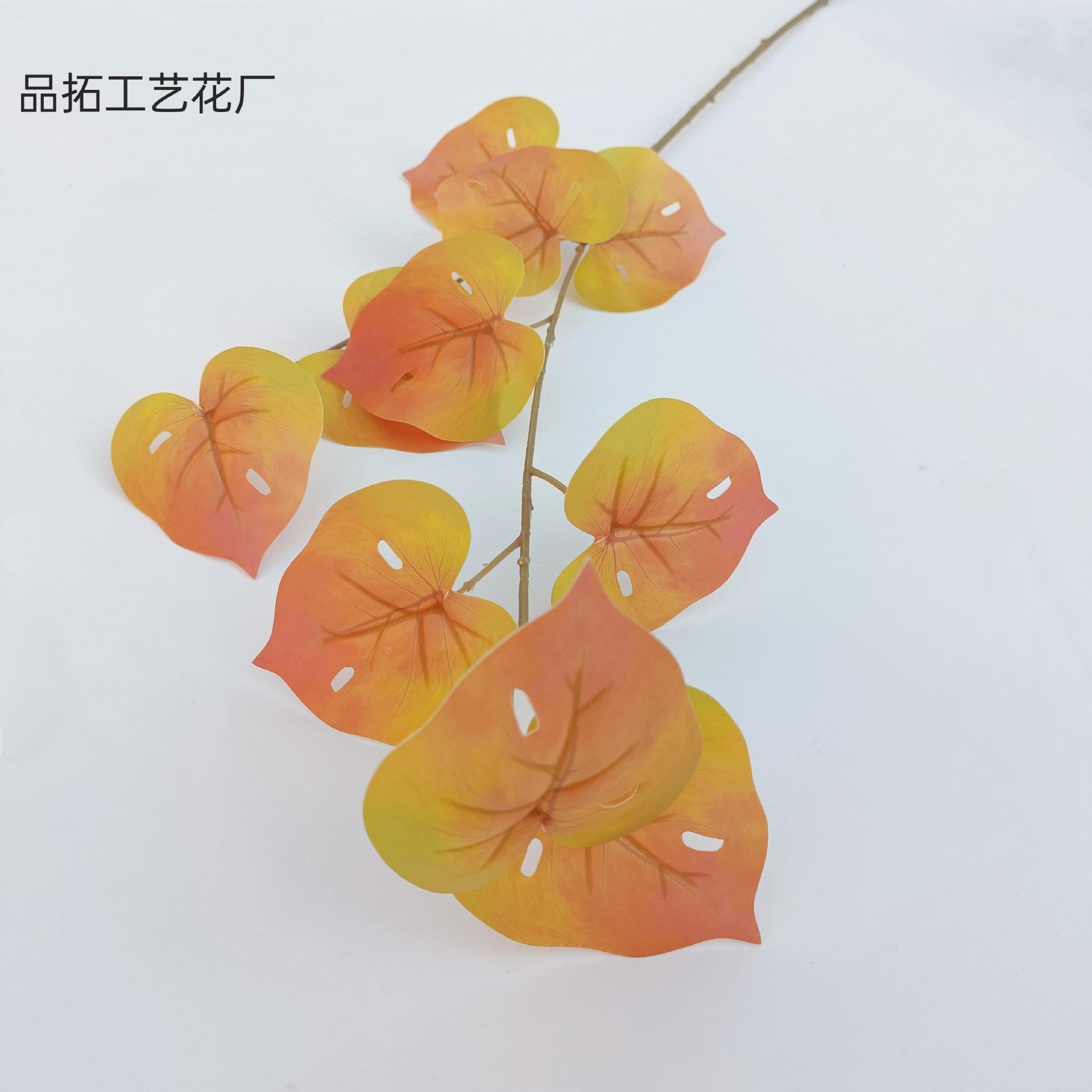 1d5848b48dfc519c34cd4b60475f84