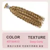 Extensiones de Cabello Europeas y Americanas con Cabello Humano Largo y Rizado, Adecuadas para Permanentes y Teñido, Extensiones Completas de Cabello Humano Real en Varios Colores