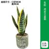 Vaso de Flor de Orquídea Tigre Simulada Estilo Moderno Simples Planta Verde Simulada Planta Bonsai Pequena em Vaso Artificial de Mesa Orquídea Tigre