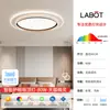 Luz de Techo LED de Espectro Completo Nueva 2025, Ultra Brillante para Dormitorio Principal, Dormitorio, Baño, Iluminación de Habitación de Alquiler