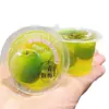 Kadiro Kdl Gelatina de Pulpa, Una Gelatina de Ciruela Verde, Una Gelatina de Fresa, Una Caja 5kg
