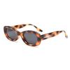 TR2225 Óculos de Sol Polarizados Fotográficos de Rua Tendência Personalidade Feminino TR90 Europeu e Americano Transfronteiriço Armação Pequena Masculino Formato Côncavo