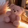 Oso Lindo con Suéter Colgante Juguete de Peluche Muñeca Oso de Peluche Colgante de Bolsa Llavero Muñeca Muñeca
