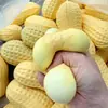 Juguete de Squeeze de Cacahuete Simulado, Pelota para Aliviar el Estrés para Niños, Fabricante de Juguetes para Aliviar el Estrés, Juguetes para Aliviar el Estrés al por Mayor para Puestos Callejeros