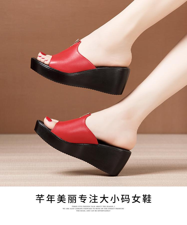 红_14.jpg