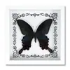 Espécime de Borboleta Real Decoração de Casa DIY Moldura de Madeira para Fotos Suprimentos de Pintura Decorativa Avançada Presente Moderno Presente Criativo