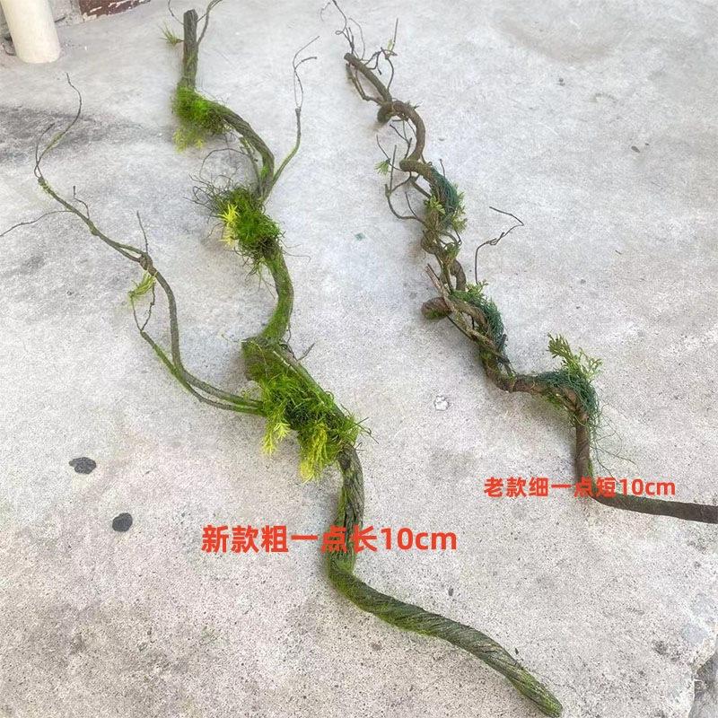 未标题-33_副本