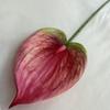 Meichun Médio Guanyinlian Cola Macia Flor de Simulação Palma Vermelha Pendente Pastoral Design Flor Artificial Planta Paisagem Flor