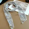 Collar de Bufanda de Malla de Seda Primavera Verano 2026 Nuevo Estilo Corbata para el Cuello Sensación de Alta Gama Larga Tira Estilo Coreano Atmósfera Versátil Adorno de Collar Bufanda de Cuello