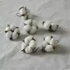 Casca de fruta faça você mesmo, pinha, lascas de madeira, folhas, flores secas, combinação de frutas secas, decoração de natal, decoração de jardim de infância, adereços retrô