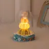 Lámpara de Noche Original Creativa de Concha y Erizo de Mar Lámpara de Atmósfera de Escritorio Adorno Kit de Materiales Hecho a Mano DIY Regalo de Vacaciones