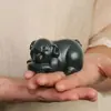 Adorno de Mano de Rana Dorada de Jade Verde Hetian de Xinjiang, Adorno de Mano de Material Fino Tigre y Pixiu, Adorno de Mano de Jade Negro, Suministro para Transmisión en Vivo