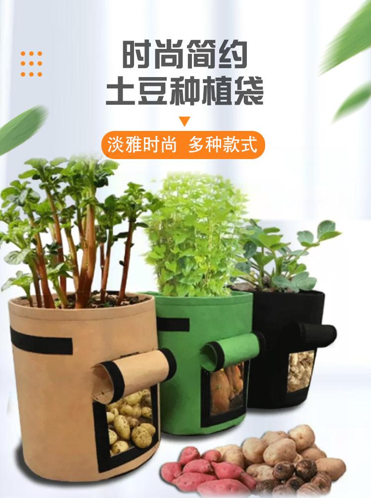 毛毡种植桶