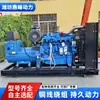 Generador Diésel de Respaldo para Centro de Datos Yuchai 300Kw, Generador de Alta Potencia Trifásico de Alto Voltaje 300Kw para Lucha contra Incendios