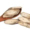 Tongguang San, Wu Gu Teng, Tongguan Teng, Tongguang San al por mayor