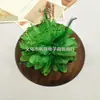 Yiwu Red de Novia Hilo Accesorios Flor de Cabeza Roja para Boda Suministros Adornos de Plumas para el Cabello Flores Especiales para Tocados