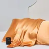 Envío directo transfronterizo Temu Etiquetado al por mayor en stock Satén de seda simulada Funda de almohada Núcleo de almohada sedoso refrescante Funda de almohada Ropa de cama