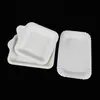 Pratos de Papel Descartáveis Pratos de Polpa 6 7 8 9 10 polegadas Brancos Pratos de Jantar de Polpa de Cana-de-Açúcar Pratos Redondos Quadrados Camping Pintura em Estoque