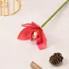 Flores Artificiales Plantas Verdes Flores de Seda Flores de Simulación Phalaenopsis Individual Arreglo Floral para Sala de Té China Accesorios para Disparos Decoración Flores Decorativas