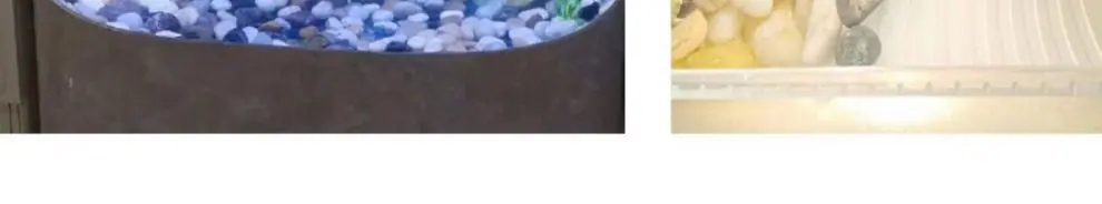 e6fe7fafd7211e9eff15e5c89628be21.jpeg